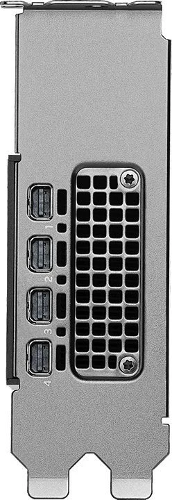 HP RTX PRO 2000 Blackwell 16 GB GDDR7 vaizdo plokštė (B5CH7AA)