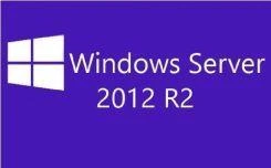 Hewlett Packard (HP) HPE MS WS12 CAL 1DEV EMEA Lic