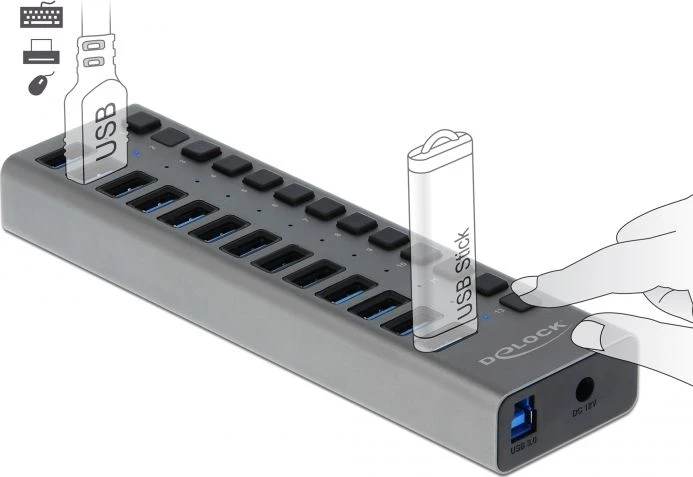 DLC Delock External SuperSpeed USB Hub su 13 prievadų + jungikliu