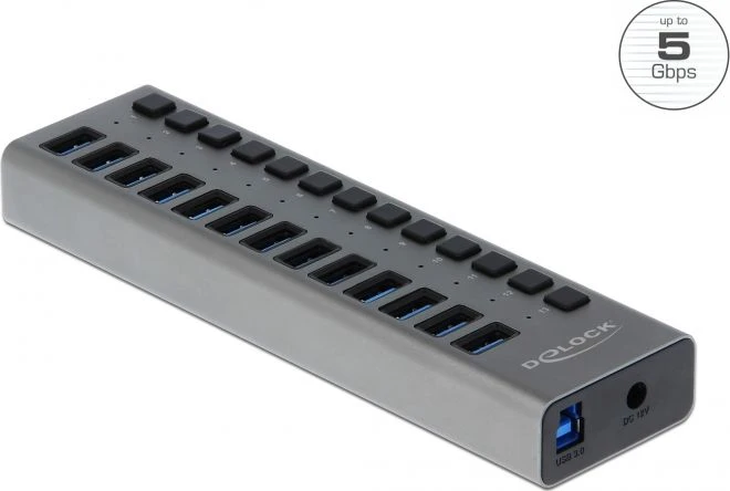 DLC Delock External SuperSpeed USB Hub su 13 prievadų + jungikliu