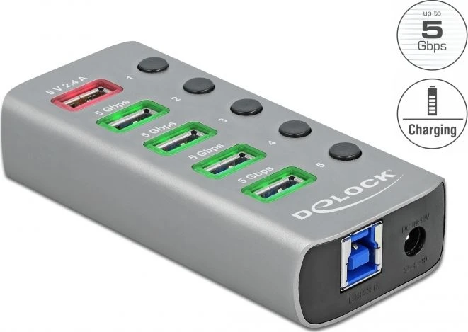 Delock USB 3.2 Gen 1 šakotuvas su 4 prievadais + 1 greito įkrovimo prievadu su jungikliu