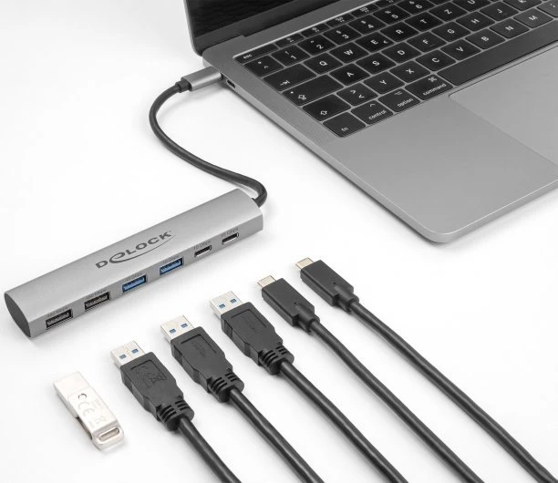 DLC DeLOCK 64232 knyginių kompiuterių dokas / jungčių replikatorius Vielinis USB 3.2 Gen 1 (3.1 Gen 1) Type-A + Type-C Pilka