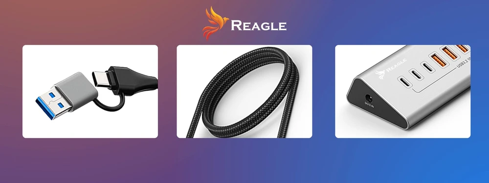 USB šakotuvas Reagle Aktyvus USB šakotuvas su maitinimo bloku 36 W 10 USB 3.2 prievadų USB skirstytuvas šakotuvas Reagle