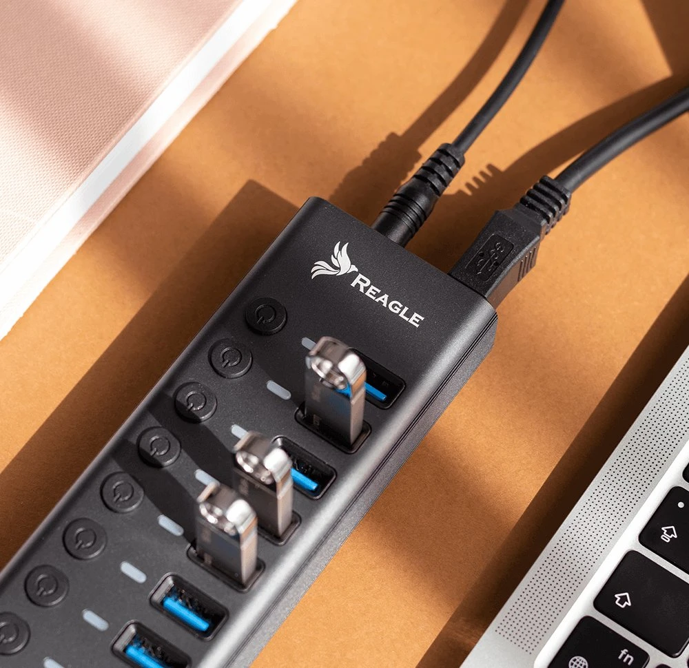 USB šakotuvas Reagle Reagle HUB 10W1 USB 3.1 10 USB-A prievadų maitinimo šaltinis 36 W