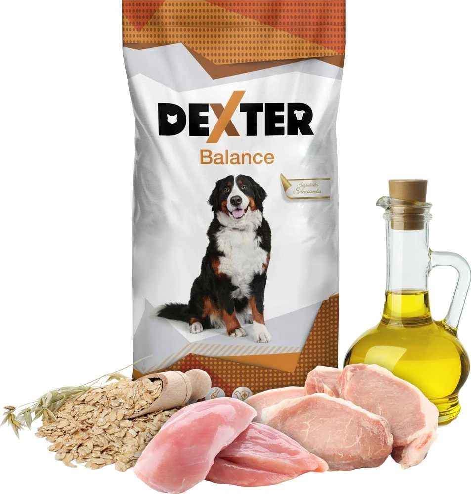 DEXTER Balance su vitaminais didelėms veislėms - sausas šunų maistas - 20 kg