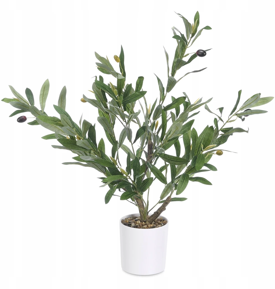 Ibergarden Dekoratyvinis alyvmedis, 58 cm