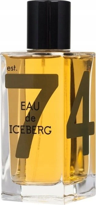 Iceberg Eau de Iceberg Amber EDT tualetinis vanduo vyrams, 100 ml