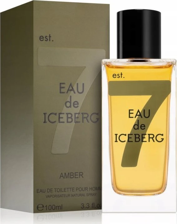 Iceberg Eau de Iceberg Amber EDT tualetinis vanduo vyrams, 100 ml