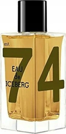 Iceberg Eau de Iceberg Amber EDT tualetinis vanduo vyrams, 100 ml