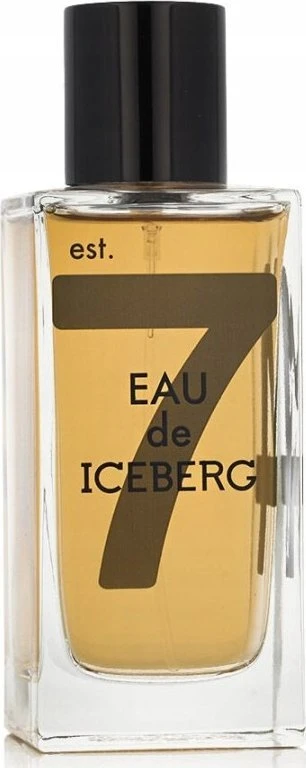 Iceberg Eau de Iceberg Amber EDT tualetinis vanduo vyrams, 100 ml