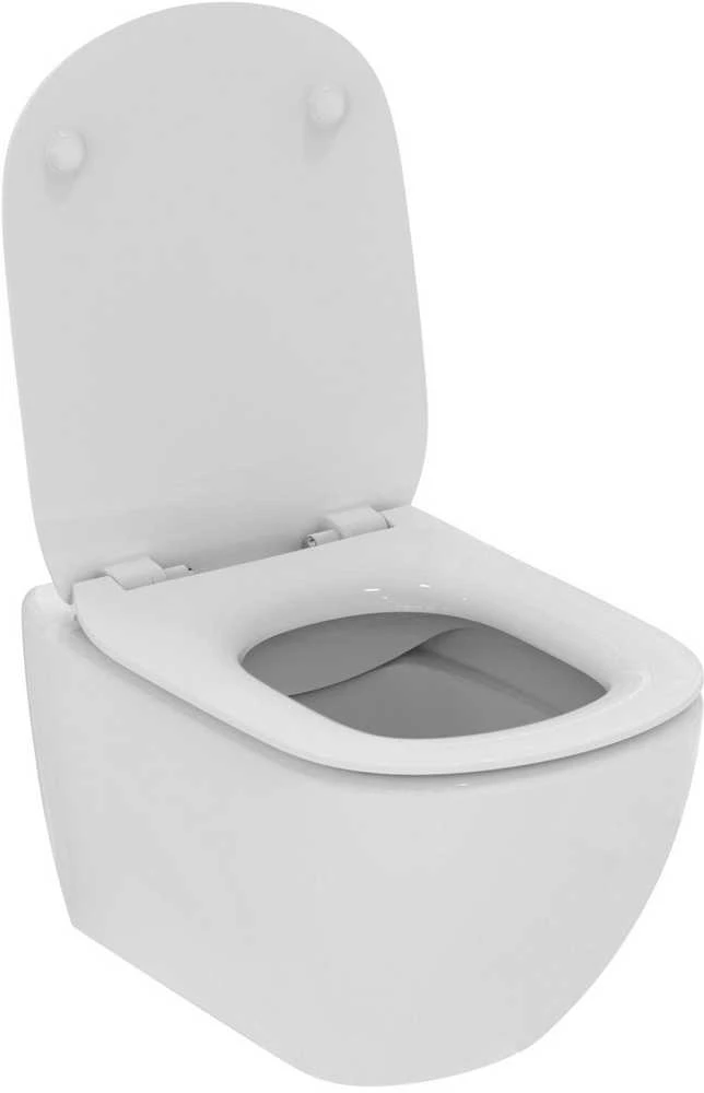 Ideal_Standa WC komplektas TESI su rėmu ir mygtuku CHR