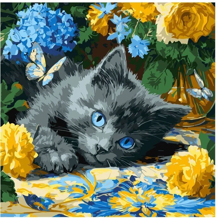 Ideyka Paveikslas pagal skaičius 40 x 40 cm KHO6795 Kačiukas Mėlynos akimis AP0098