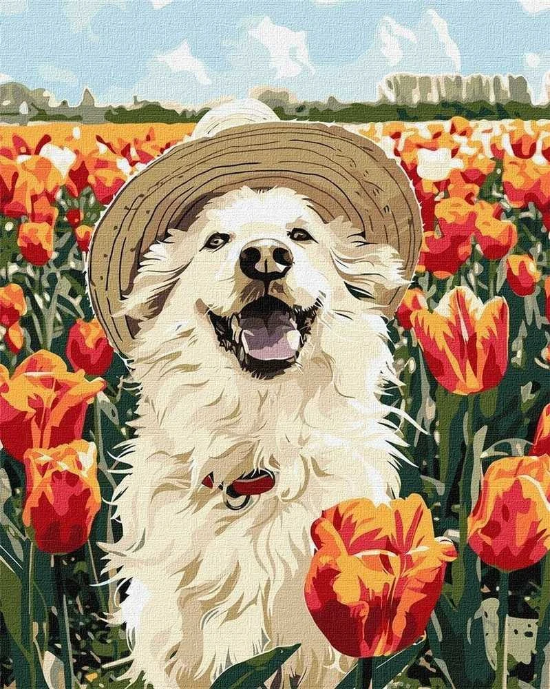 Ideyka Tapybos pagal skaičius rinkinys „Laimingas labradoras“ 40x50 AP0042