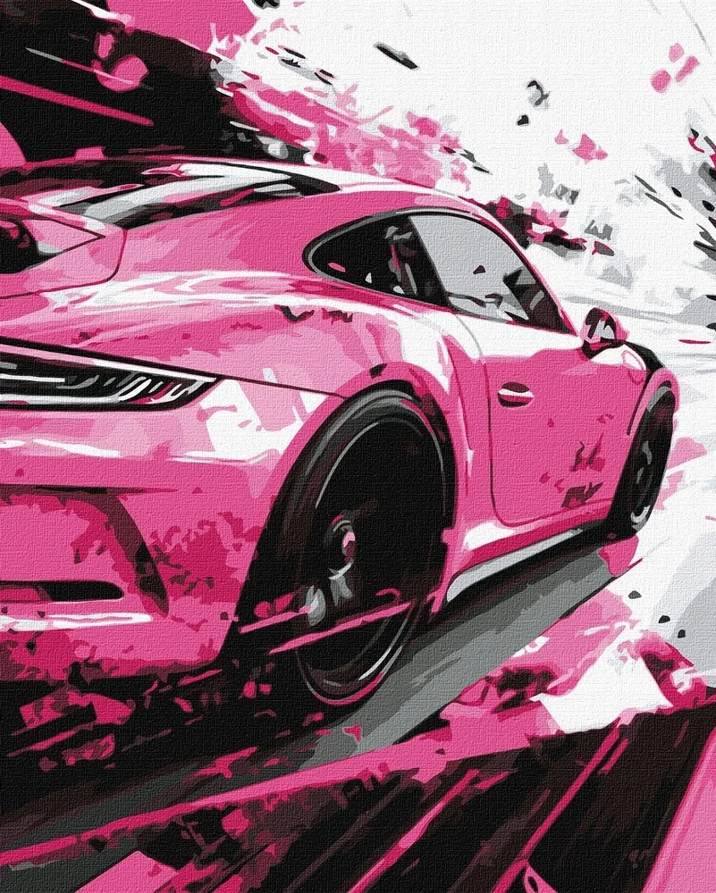 Ideyka Art Active *****Malow.po num.40x50 Rožinė styl 80627