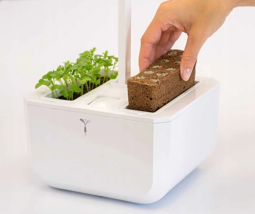 iGET Véritable Exky SMART - Automatinis vazonas su reguliuojamu apšvietimu, balta + 2 daugiamečiai augalai