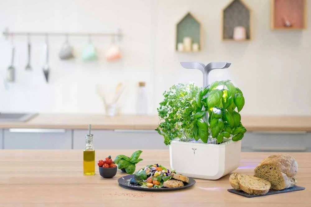 iGET Véritable Exky SMART - Automatinis vazonas su reguliuojamu apšvietimu, balta + 2 daugiamečiai augalai