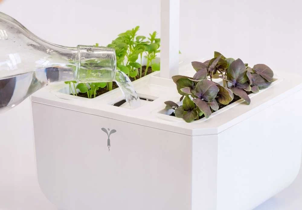 iGET Véritable Exky SMART - Automatinis vazonas su reguliuojamu apšvietimu, balta + 2 daugiamečiai augalai