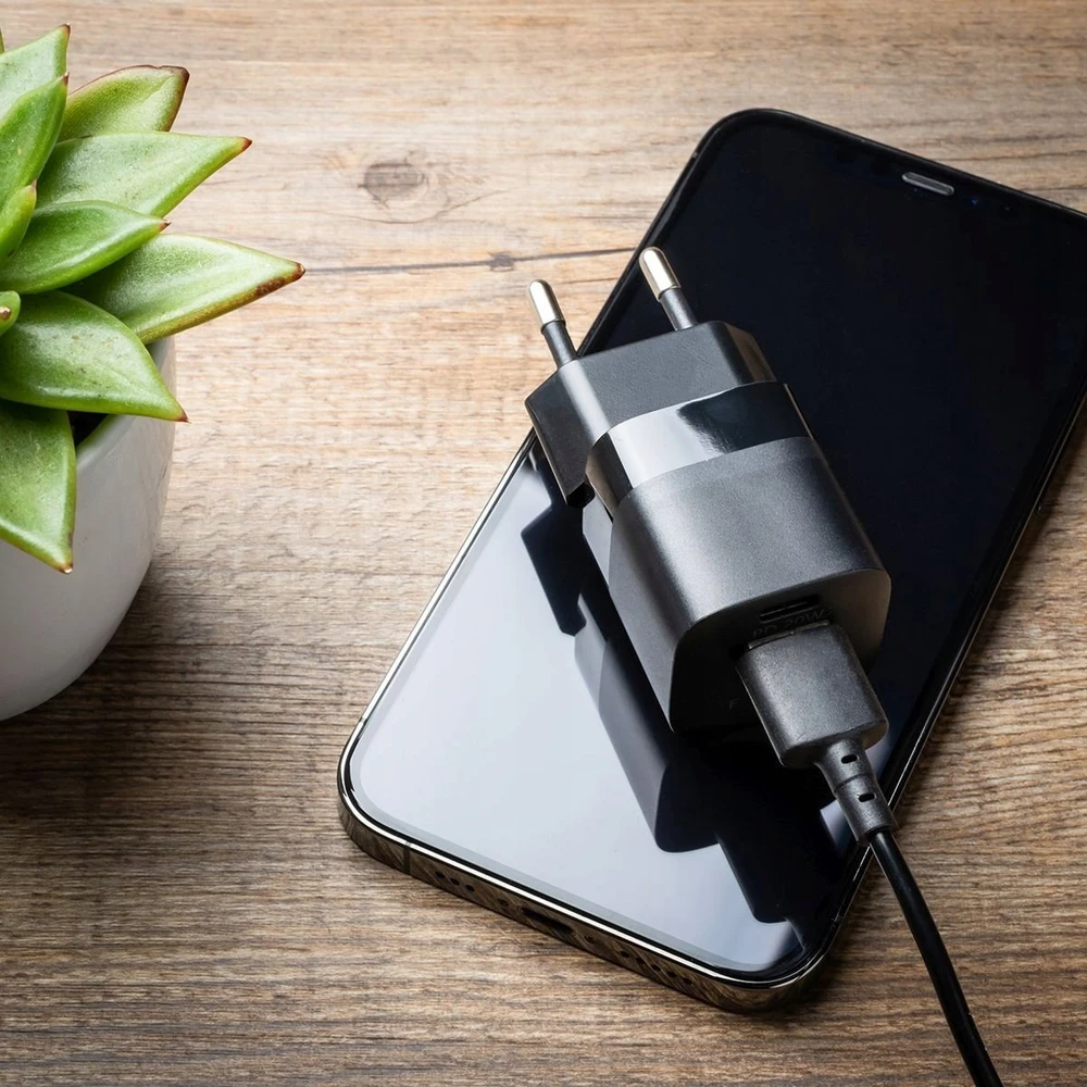 Fixed Fiksuotas Mini USB-C/USB 20W, juodas