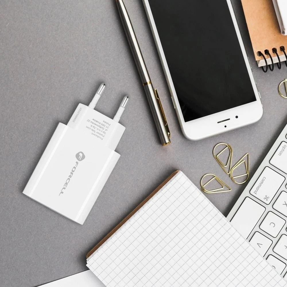 Įkroviklis Forcell + "USB-C (Type-C) to USB-C (Type-C)" (1xUSB-C 3A 25W) baltas