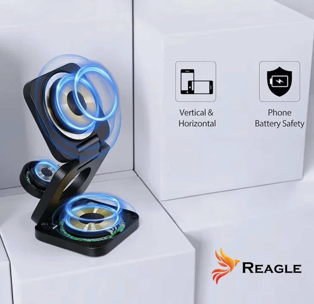 Įkroviklis Reagle