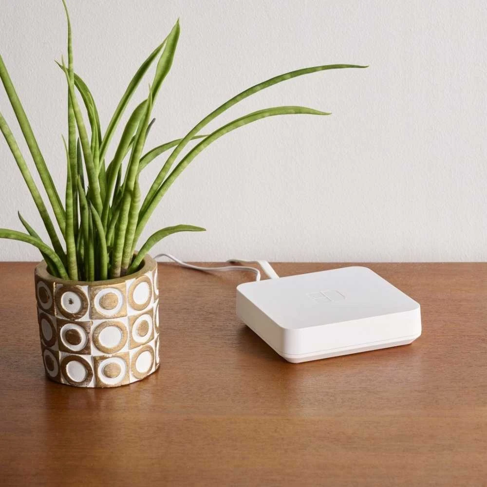 Immergas TYDOM HOME blokas su kambariniu augalu