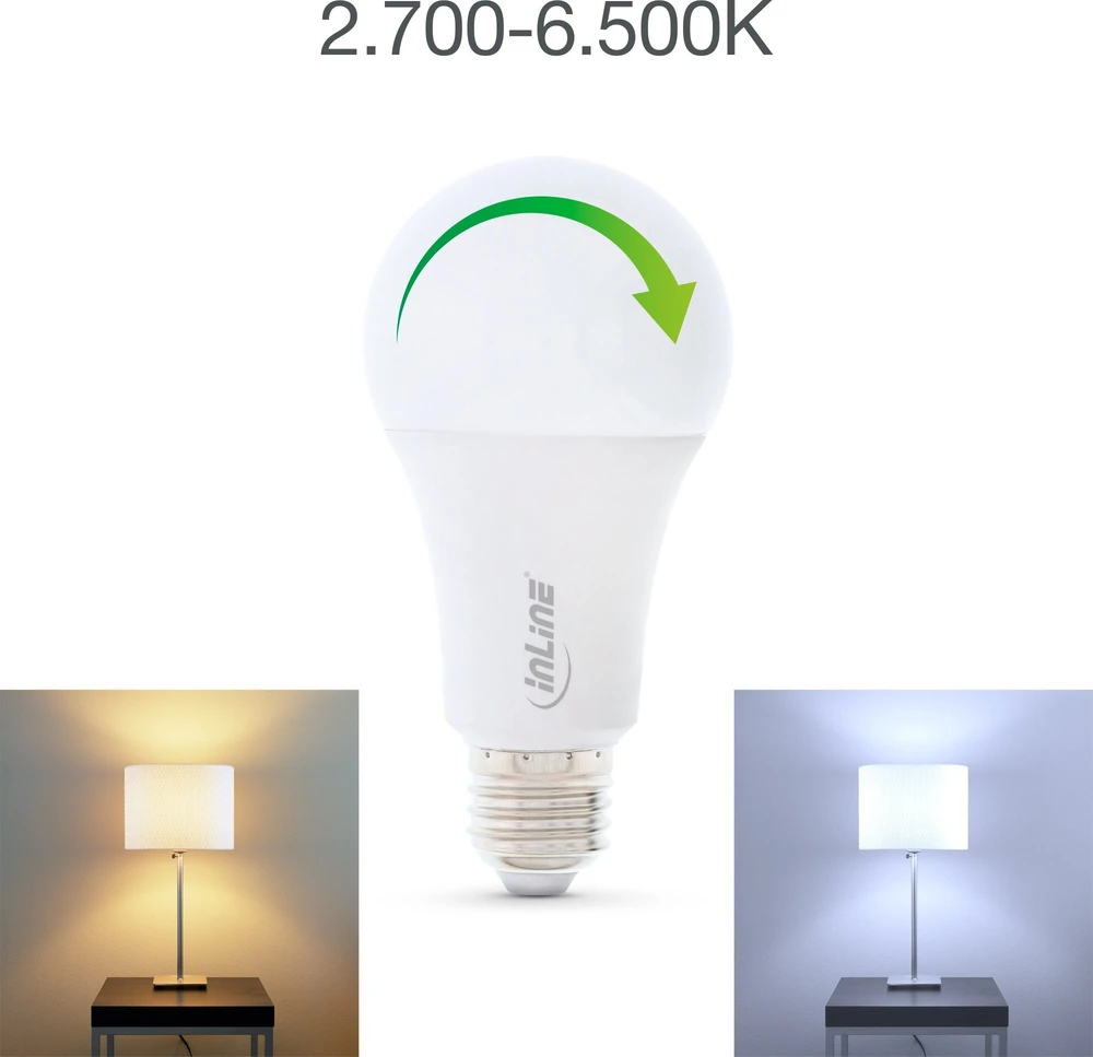 InLine® SmartHome LED lemputė RGB E27