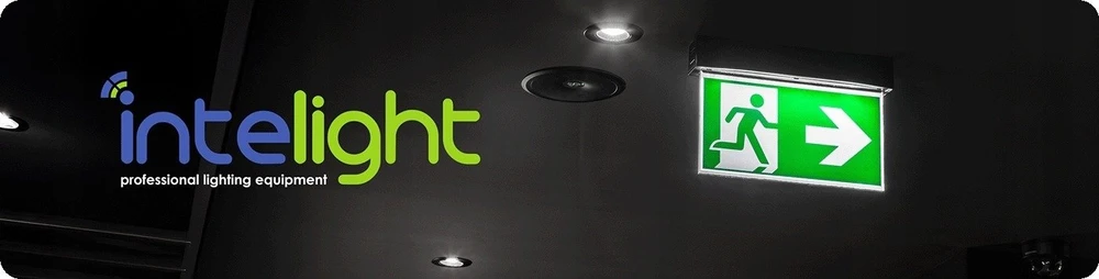 Intelight Avarinis įleidžiamas šviestuvas STARLET SPOT ROUND SO 150 NM 1H MT IP20 (IP65) / 83001