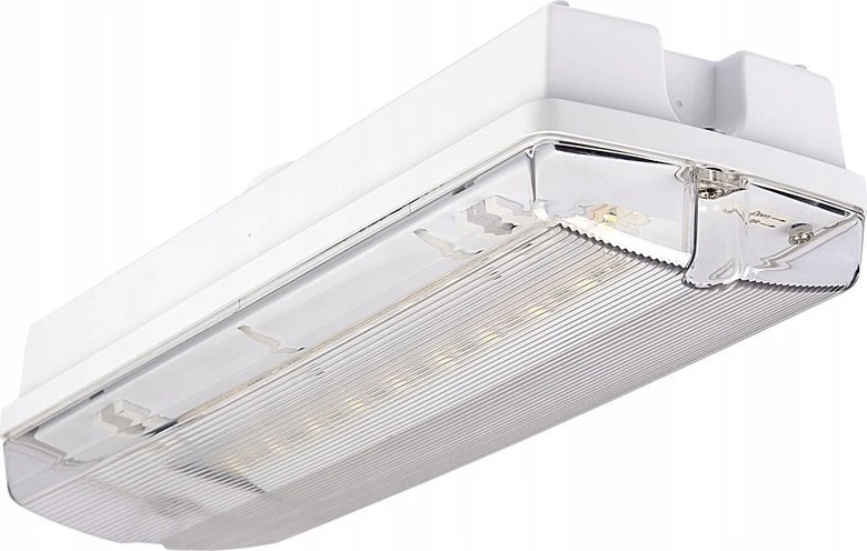 Intelight 3,5W avarinis/evakuacinis šviestuvas ORION LED II 100 M 3H MT, baltas
