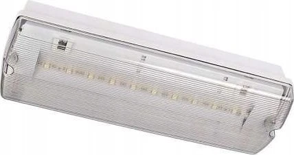 Intelight 3,5W avarinis/evakuacinis šviestuvas ORION LED II 100 M 3H MT, baltas