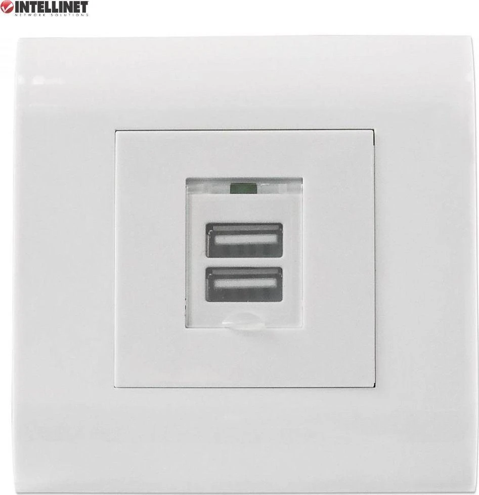 Intellinet 772211 šakutės lizdas USB A Balta