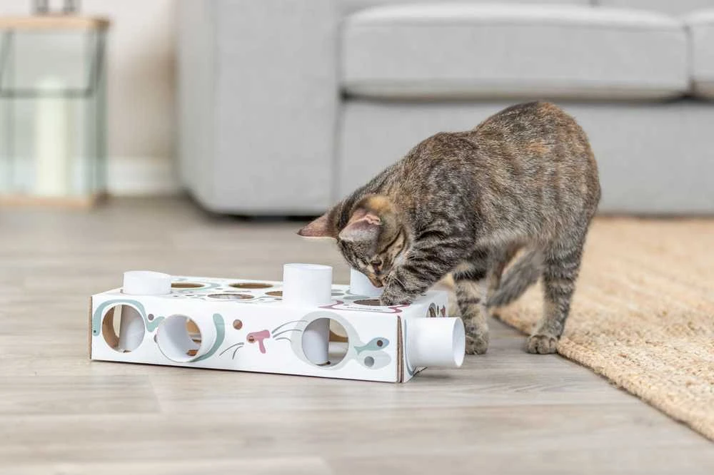 Trixie Interaktyvi edukacinė žaislų dėžutė katei Trixie Cat Activity Paws'n'Treats Box, 35×7×20 cm