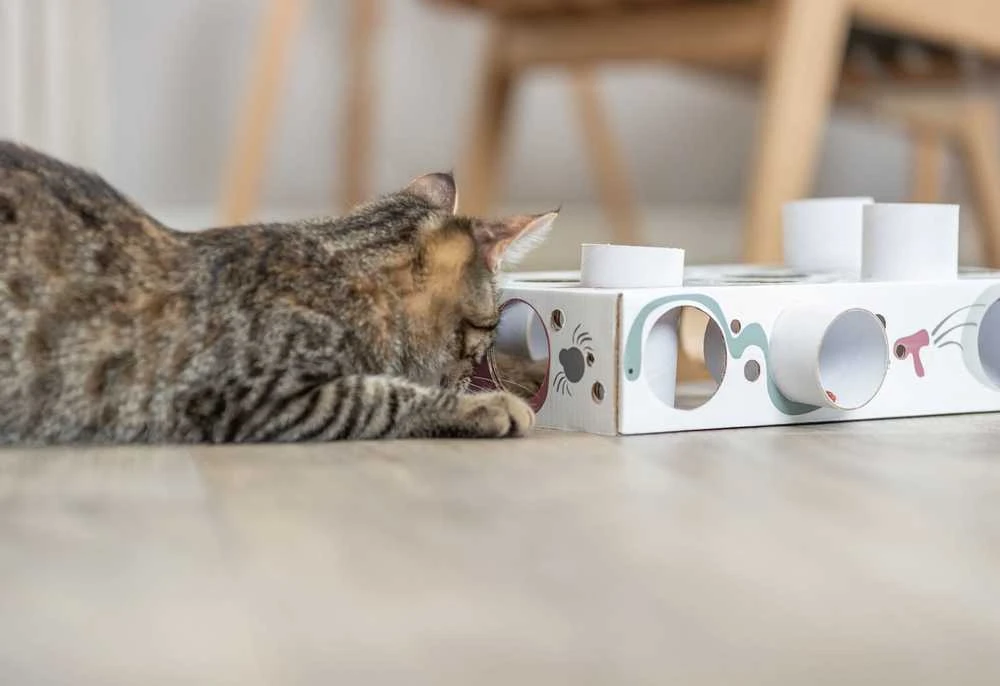 Trixie Interaktyvi edukacinė žaislų dėžutė katei Trixie Cat Activity Paws'n'Treats Box, 35×7×20 cm