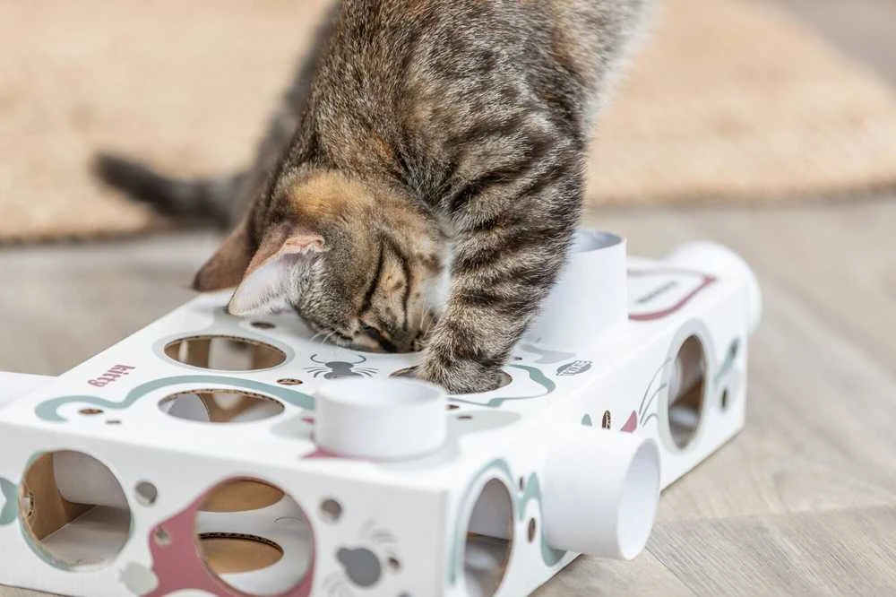 Trixie Interaktyvi edukacinė žaislų dėžutė katei Trixie Cat Activity Paws'n'Treats Box, 35×7×20 cm
