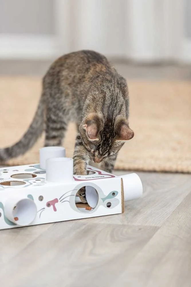 Trixie Interaktyvi edukacinė žaislų dėžutė katei Trixie Cat Activity Paws'n'Treats Box, 35×7×20 cm