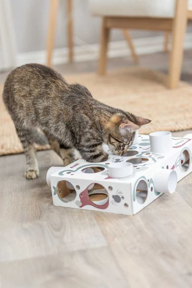 Trixie Interaktyvi edukacinė žaislų dėžutė katei Trixie Cat Activity Paws'n'Treats Box, 35×7×20 cm