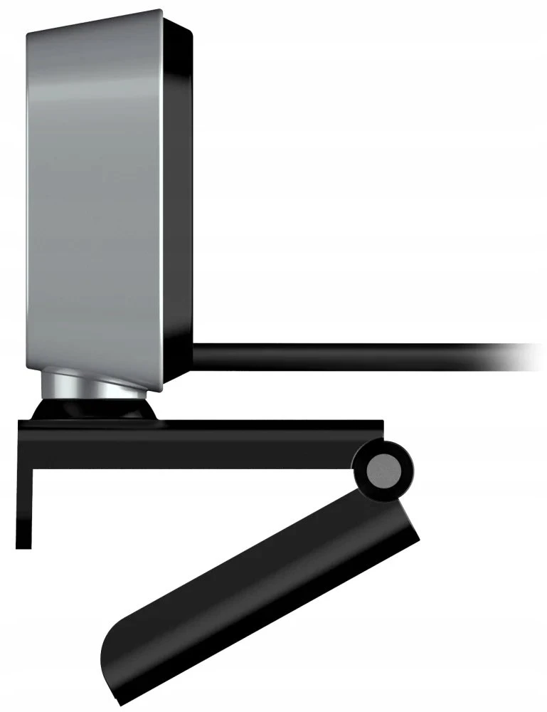 Genius FaceCam 2010 kamera web Full HD, pilka