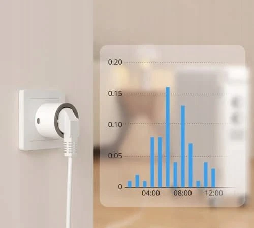 SONOFF S60 Zigbee išmanusis kištukas