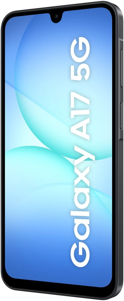 Išmanusis telefonas Samsung Galaxy A17 5G 4/128GB Juodas (SM-A176BZKAEUB)