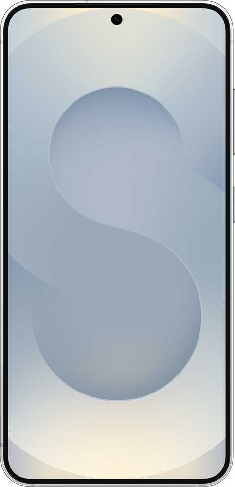 Išmanusis telefonas Samsung Galaxy S25 S931 5G Dual Sim 12GB RAM 256GB – Sidabrinis Shadow
