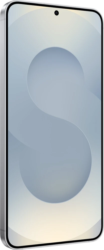 Samsung Galaxy S25+ 17 cm (6.7) Dviguba SIM jungtis Android 15 5G C tipo USB 12 GB 256 GB 4900 mAh Pilka
