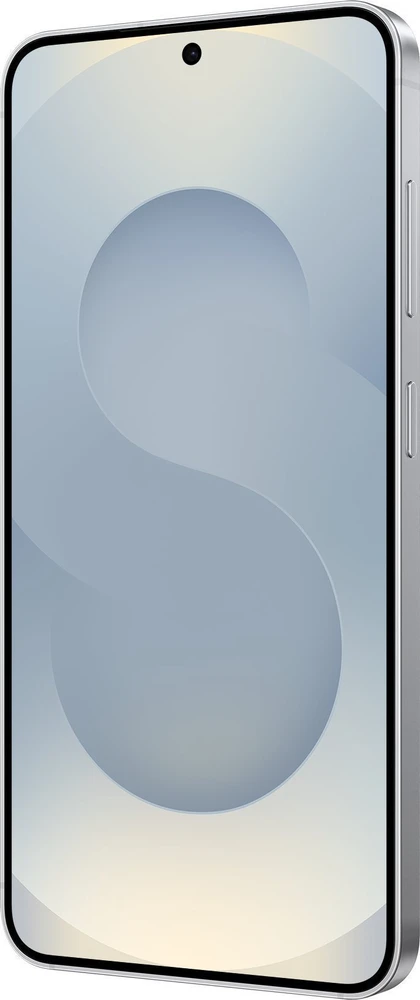 Išmanusis telefonas Samsung Galaxy S25 Enterprise Edition 5G 12/128GB Sidabrinis (SM-S931BZSDEEB)