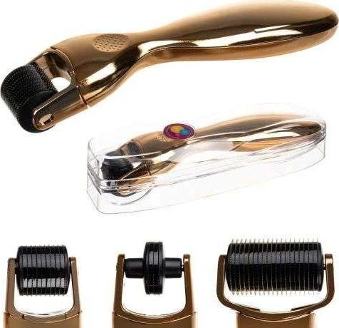 Soulima Adatų mezoterapijai Derma Roller 3in1