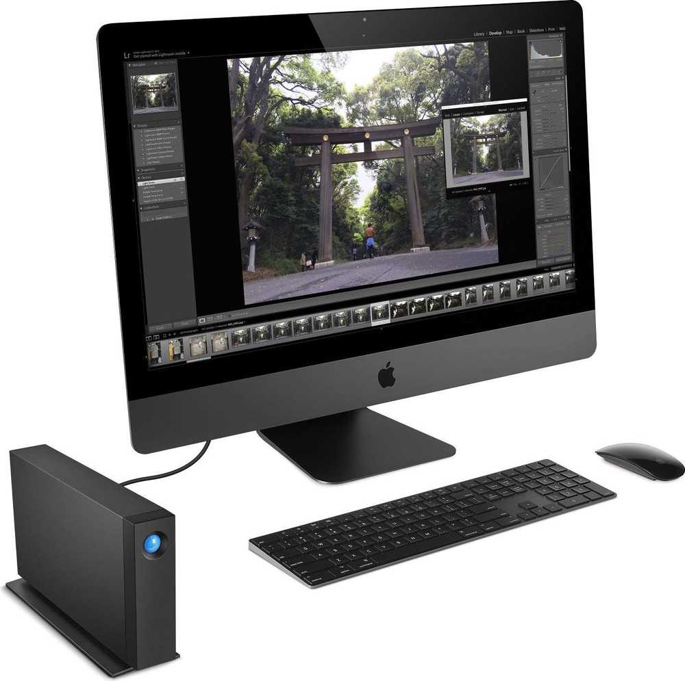 Kietasis diskas Dysk zewnętrzny HDD LaCie D2 Professional 4TB Juodas (STHA4000800)