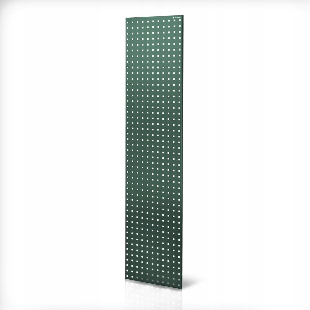 Jan Nowak Perforuota lentyna spintai žalia: JOHNNY, 2 vnt., 1800 x 20 x 420 mm