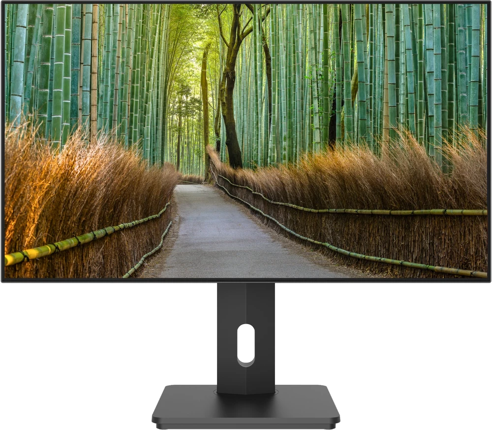 Carruzzo JAPANNEXT JN-27IPS4FLWQHDR-HSP kompiuterio monitorius 68,6 cm (27″) 2560 x 1440 pikseliai Wide Quad HD LCD Juoda