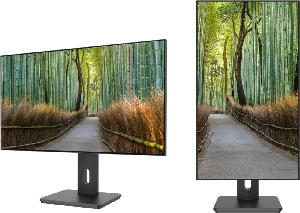 Carruzzo JAPANNEXT JN-27IPS4FLWQHDR-HSP kompiuterio monitorius 68,6 cm (27″) 2560 x 1440 pikseliai Wide Quad HD LCD Juoda