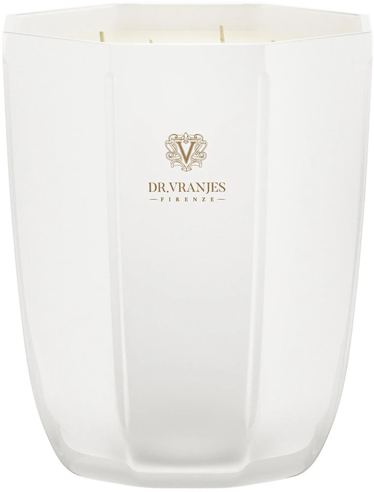 Dr. Vranjes Firenze Ginger Lime Scented Candle, 1000 g