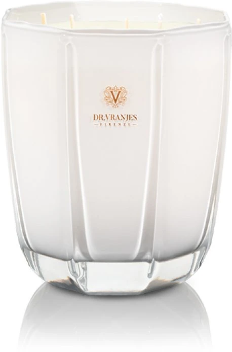 Dr. Vranjes Firenze Ginger Lime Scented Candle, 1000 g