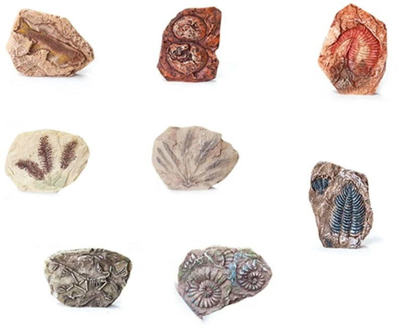 Jokomisiada Jokomisiados archeologijos rinkinys „Dig Up Staigmenos Fosilijų Kaukolės“ ZA5754