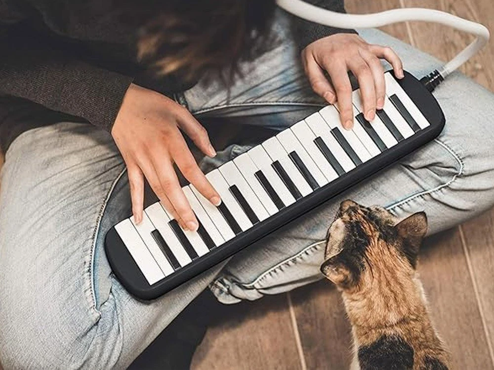 Jokomisiada Muzikos instrumentas Melodija Klaviatūros armonikos dėklas su dviem kandikliais IN0175